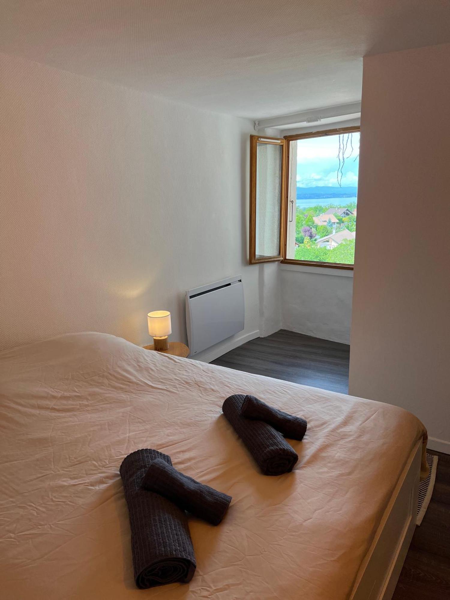 Charmante Maison De Village A 10Min De Thonon-Les-Bains Allinges Esterno foto